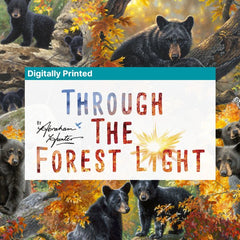 Collection image for: Through the Forest Light