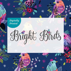 Collection image for: Bright Birds