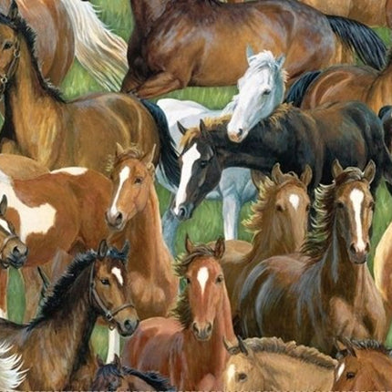 Sweetwater Bridge Packed Horse Cotton Fabric