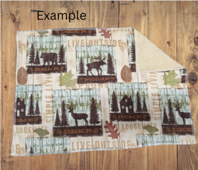Handmade Placemat Or Table Runner Seahawks Mini