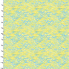 Set of 2 Placemats