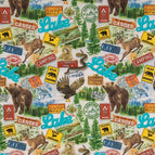 Set of 2 Placemats