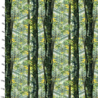 Set of 2 Placemats