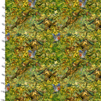 Set of 2 Placemats