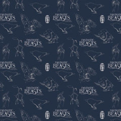 Collection image for: Fantastic Beasts