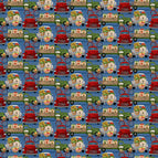 Set of 2 Placemats