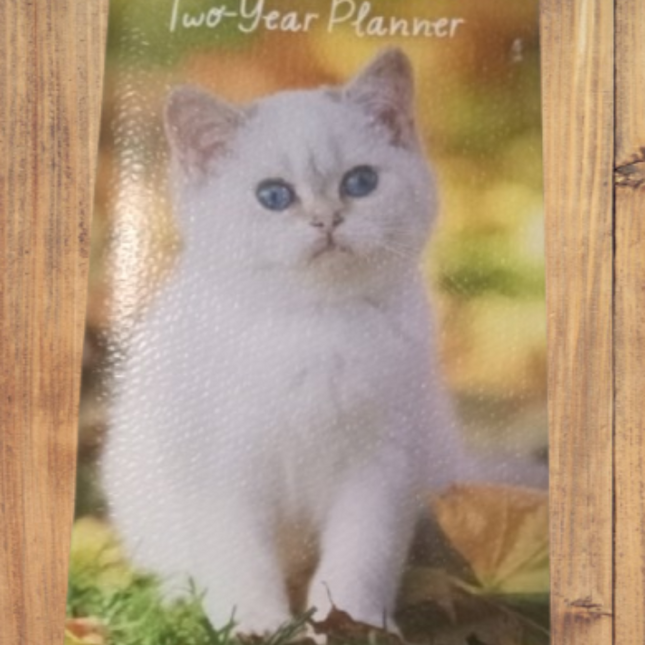 2024-2025 Two Year Planner (Kitten)