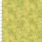 Set of 2 Placemats