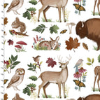 Set of 2 Placemats