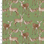 Set of 2 Placemats