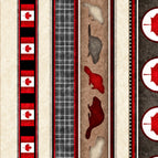 Set of 2 Placemats