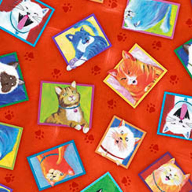 Cat Chat Frame Toss Red Cotton Fabric