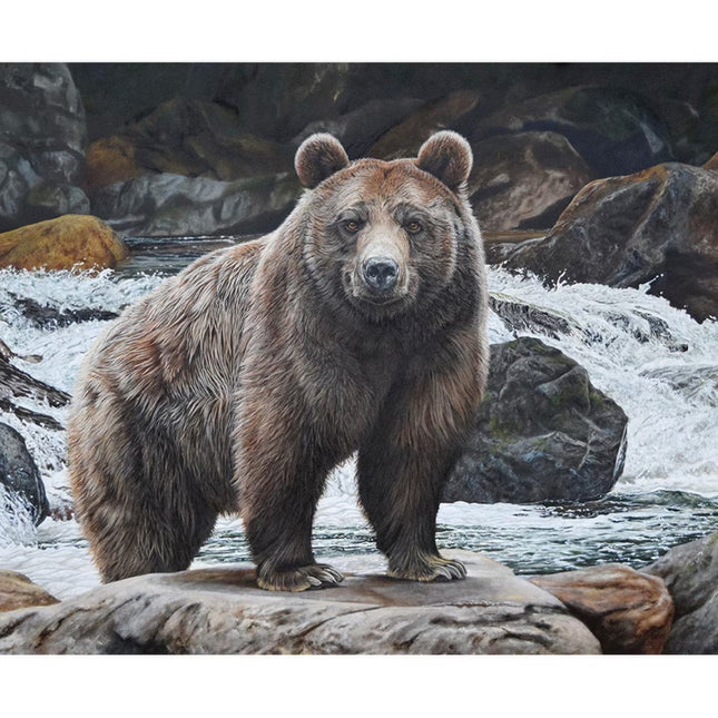 Majestic in Nature No Fish Today Cotton Panel Fabric