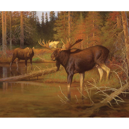 Majestic in Nature Majestic Intruder Cotton Panel