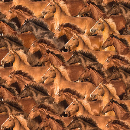 Spurs & Spirit Horses Cotton Fabric