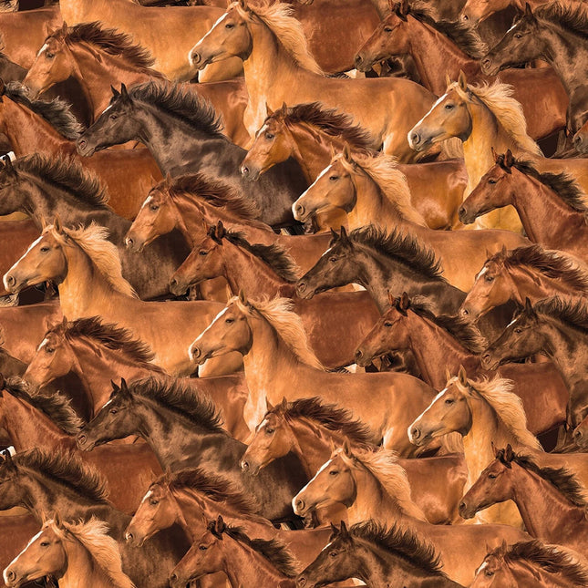 Spurs & Spirit Horses Cotton Fabric