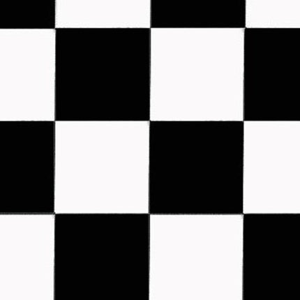Black White Racing Checker Cotton Fabric