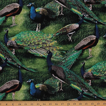 Pagent of Color Peacock Cotton Fabric