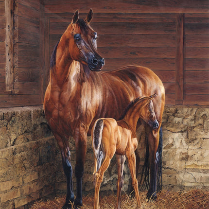 And God Created A Horse Panel (35.5" x 45") Panel Fabric