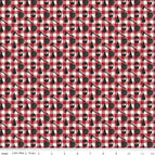 Set of 2 Placemats