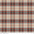 Set of 2 Placemats