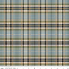 Set of 2 Placemats
