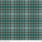 Set of 2 Placemats