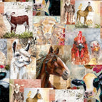 Set of 2 Placemats