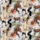 Set of 2 Placemats