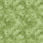 Set of 2 Placemats
