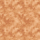 Set of 2 Placemats