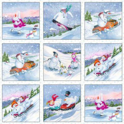 Let It Snow 24"x44" Panel 3006 White