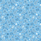 Set of 2 Placemats