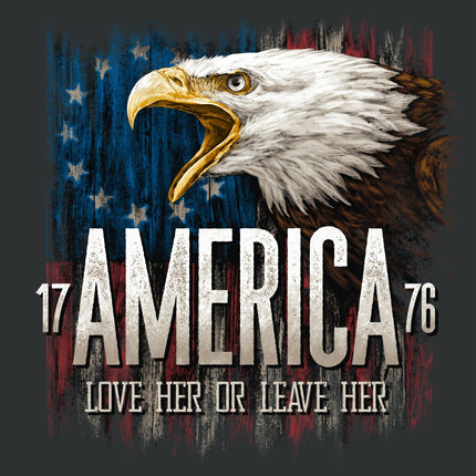 1776 America Panel (35.5" x 45") Panel Fabric