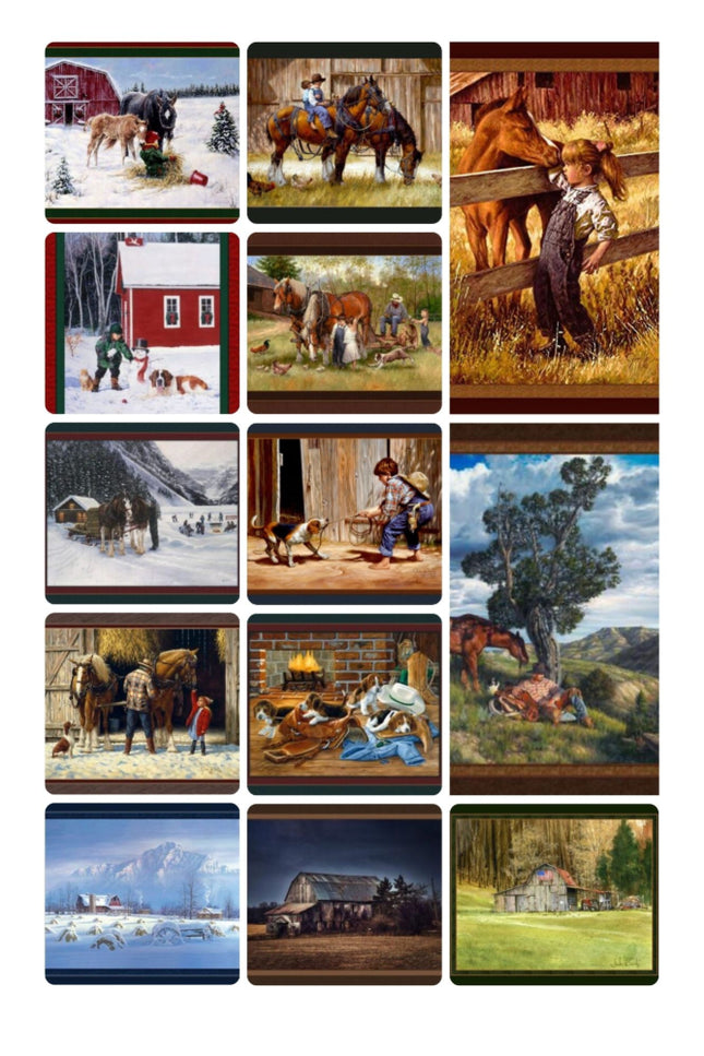 Assorted MDG Western Cotton Panel Flat Fold Bundle 20 Panels