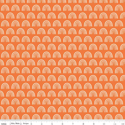 Two by Two Chasing Rainbows Orange Cotton Fabric