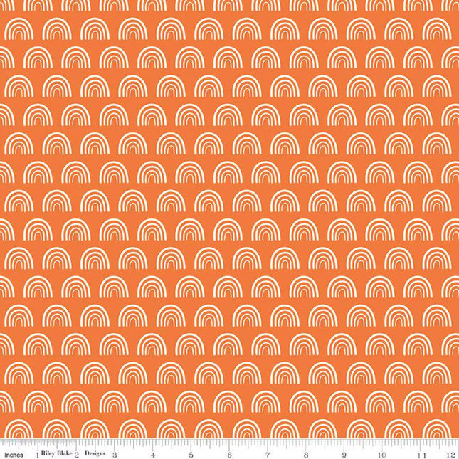 Two by Two Chasing Rainbows Orange Cotton Fabric