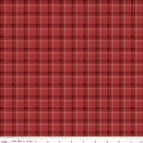 Set of 2 Placemats