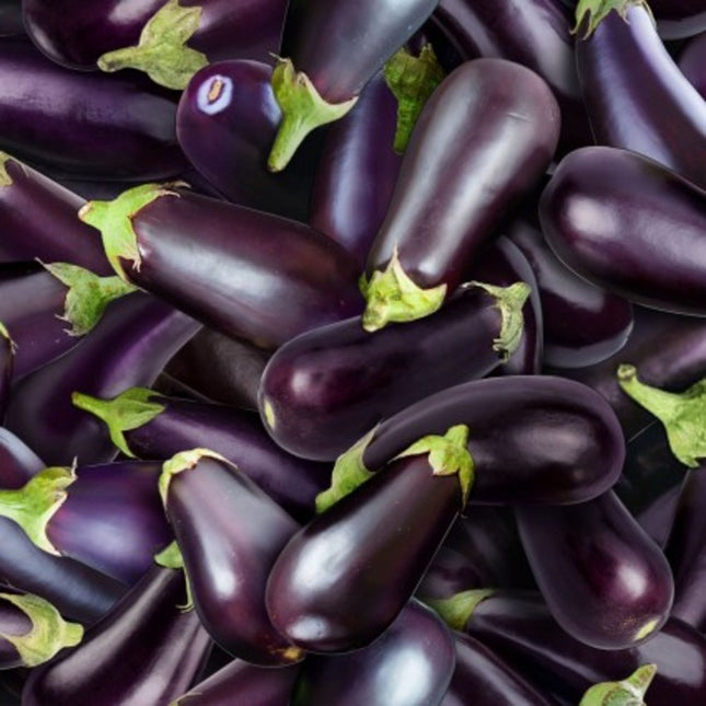 Food Festival Eggplant Cotton Fabric