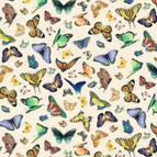 Set of 2 Placemats