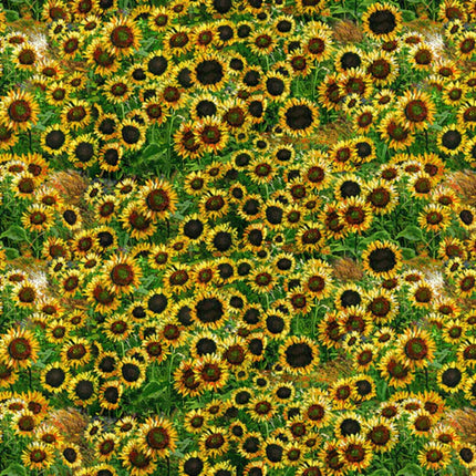 Farmall Sunflowers Cotton Fabric