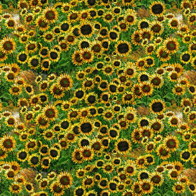 Farmall Sunflowers Cotton Fabric