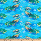 Set of 2 Placemats