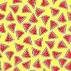 Set of 2 Placemats