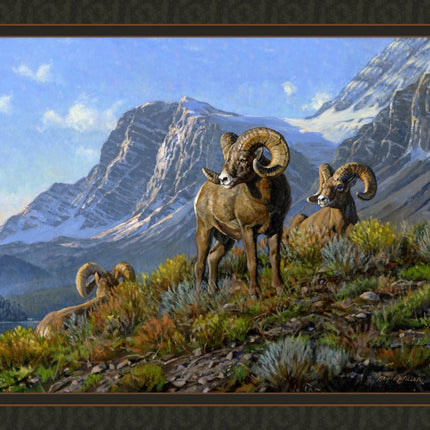 Rams Panel Cotton Fabric