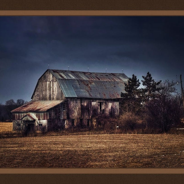 Weathered Barn Panel Cotton Fabric