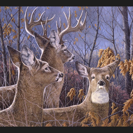 Cautious Moment Deer 45" Wide Cotton Panel Fabric