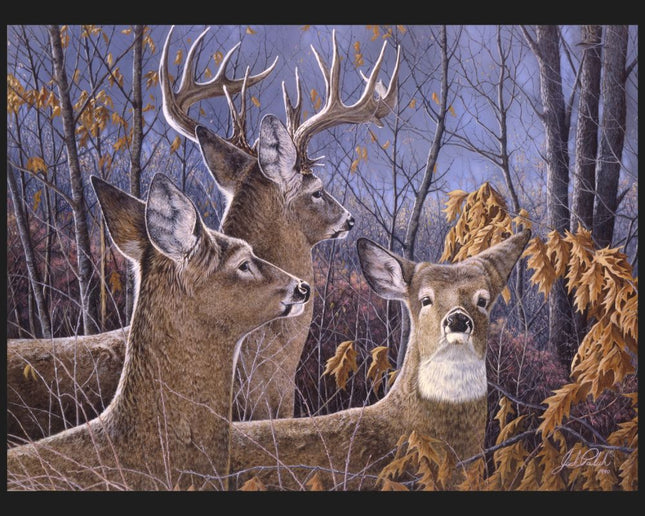 Cautious Moment Deer 45" Wide Cotton Panel Fabric