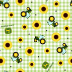 Set of 2 Placemats
