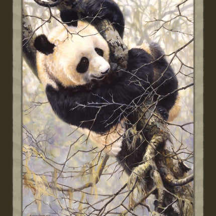 Panda Trilogy In Tree 45" Wide Cotton Panel Fabric